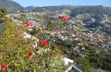 Curral das Freiras